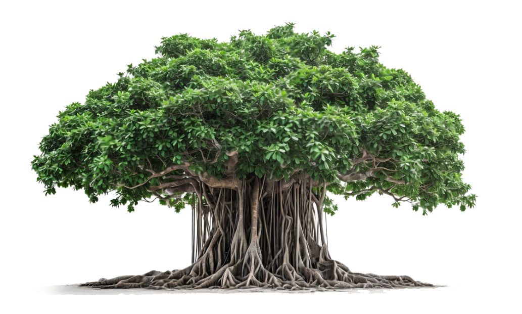 A grand Banyan tree, reflecting the assurance and trust clients place in expert financial advisory firm